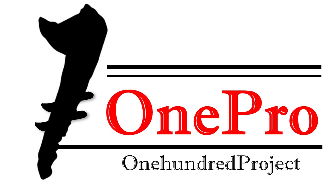 One Pro(Onehundred Project)